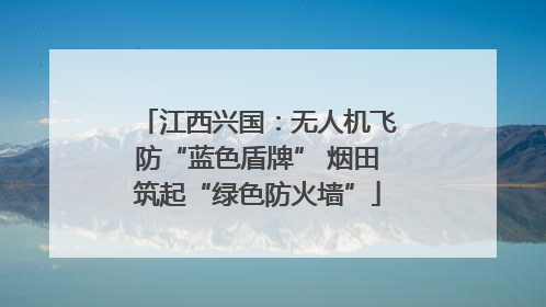 江西兴国：无人机飞防“蓝色盾牌” 烟田筑起“绿色防火墙”