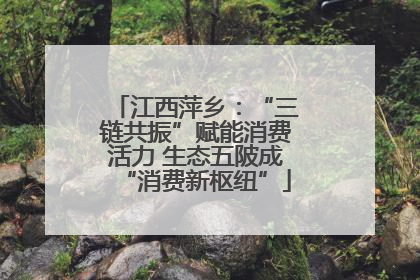 江西萍乡：“三链共振”赋能消费活力 生态五陂成“消费新枢纽”