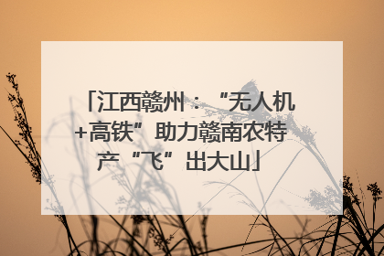 江西赣州：“无人机+高铁”助力赣南农特产“飞”出大山