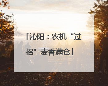 沁阳：农机“过招”麦香满仓