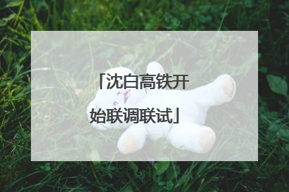 沈白高铁开始联调联试