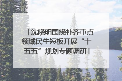 沈晓明围绕补齐重点领域民生短板开展“十五五”规划专题调研