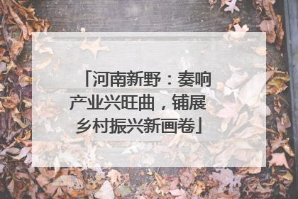河南新野：奏响产业兴旺曲，铺展乡村振兴新画卷