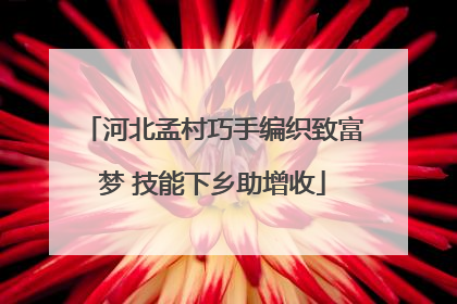 河北孟村巧手编织致富梦 技能下乡助增收