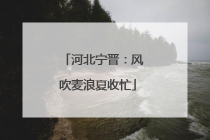 河北宁晋：风吹麦浪夏收忙