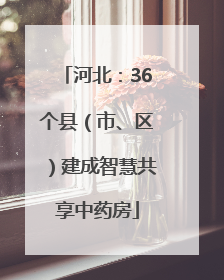 河北：36个县（市、区）建成智慧共享中药房