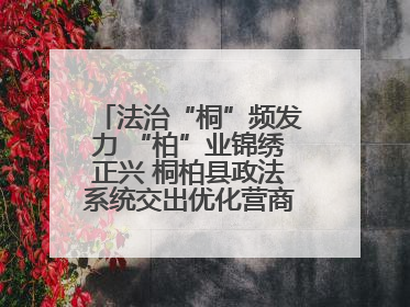 法治“桐”频发力 “柏”业锦绣正兴 桐柏县政法系统交出优化营商环境“成绩单”