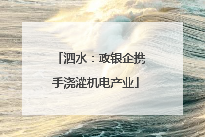泗水：政银企携手浇灌机电产业