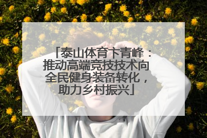 泰山体育卞青峰：推动高端竞技技术向全民健身装备转化，助力乡村振兴