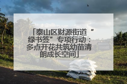 泰山区财源街道“绿书签”专项行动：多点开花共筑幼苗清朗成长空间