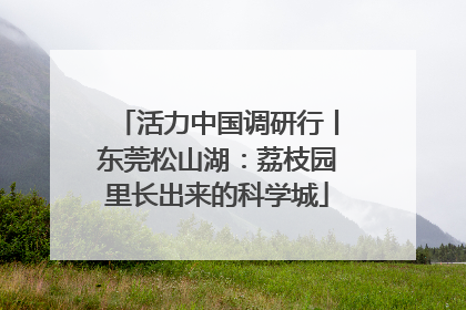 活力中国调研行丨东莞松山湖：荔枝园里长出来的科学城