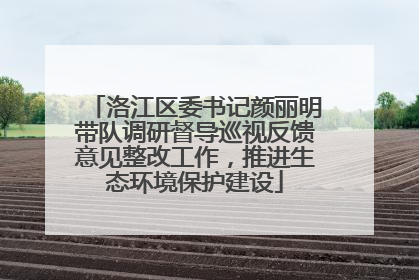 洛江区委书记颜丽明带队调研督导巡视反馈意见整改工作，推进生态环境保护建设