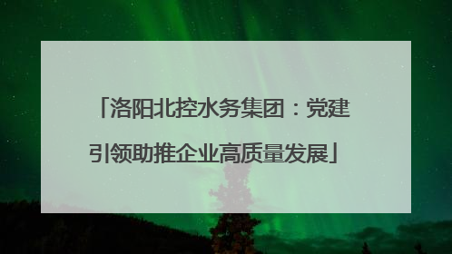 洛阳北控水务集团：党建引领助推企业高质量发展