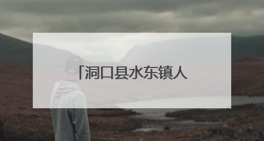 洞口县水东镇人大：“蘑菇小镇”的破局实践