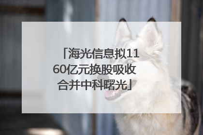 海光信息拟1160亿元换股吸收合并中科曙光