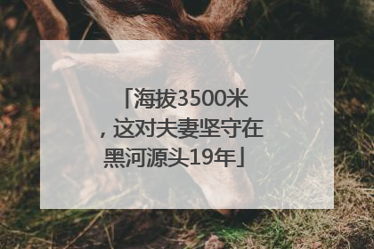 海拔3500米，这对夫妻坚守在黑河源头19年