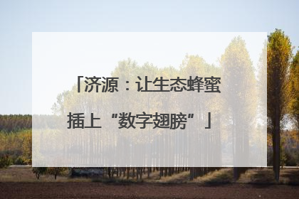 济源：让生态蜂蜜插上“数字翅膀”