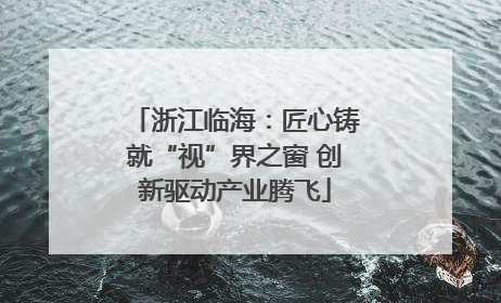 浙江临海：匠心铸就“视”界之窗 创新驱动产业腾飞