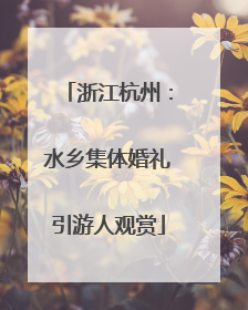 浙江杭州：水乡集体婚礼引游人观赏