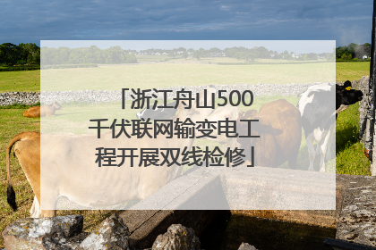 浙江舟山500千伏联网输变电工程开展双线检修