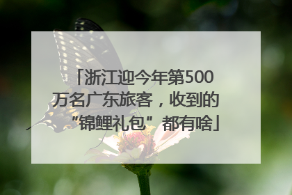 浙江迎今年第500万名广东旅客，收到的“锦鲤礼包”都有啥