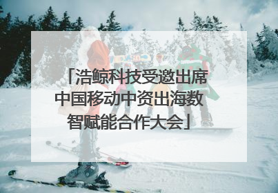 浩鲸科技受邀出席中国移动中资出海数智赋能合作大会