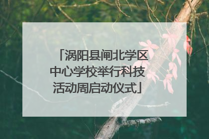 涡阳县闸北学区中心学校举行科技活动周启动仪式