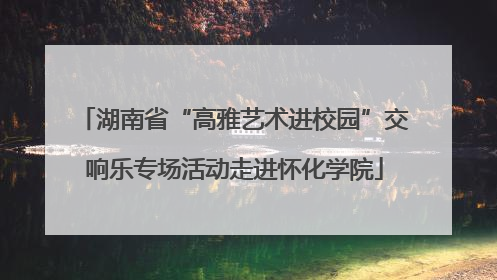 湖南省“高雅艺术进校园”交响乐专场活动走进怀化学院
