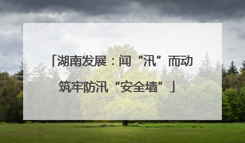 湖南发展：闻“汛”而动 筑牢防汛“安全墙”