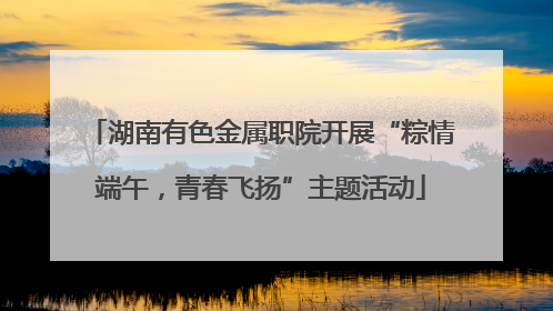 湖南有色金属职院开展“粽情端午，青春飞扬”主题活动