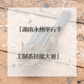 湖南永州举行手工制茶技能大赛