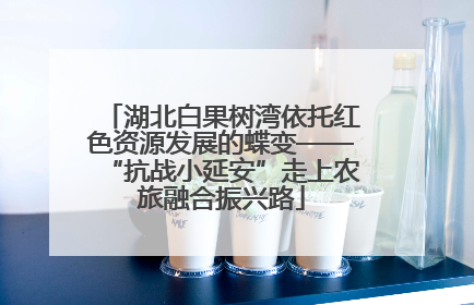 湖北白果树湾依托红色资源发展的蝶变——“抗战小延安”走上农旅融合振兴路