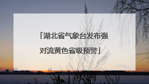 湖北省气象台发布强对流黄色省级预警