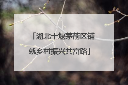 湖北十堰茅箭区铺就乡村振兴共富路