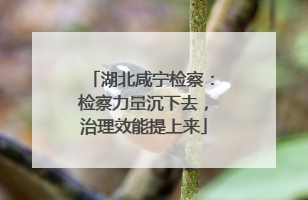 湖北咸宁检察：检察力量沉下去，治理效能提上来