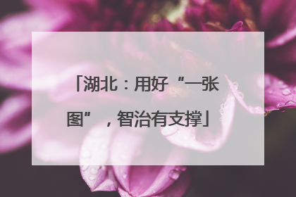 湖北：用好“一张图”，智治有支撑
