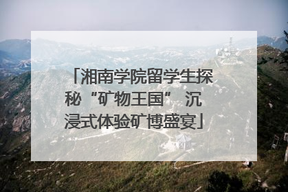 湘南学院留学生探秘“矿物王国” 沉浸式体验矿博盛宴