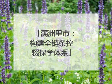 满洲里市：构建全链条控辍保学体系