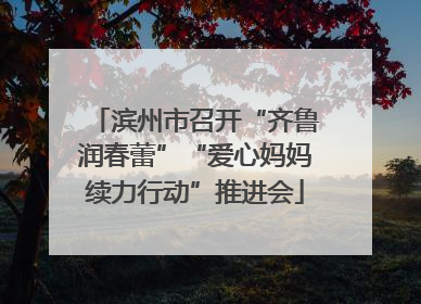 滨州市召开“齐鲁润春蕾”“爱心妈妈续力行动”推进会