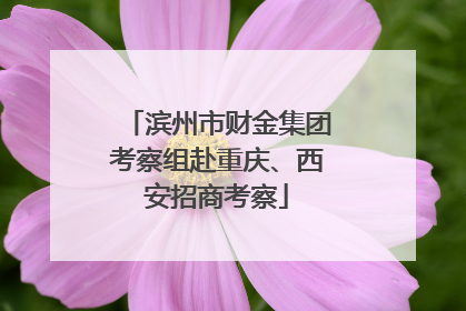滨州市财金集团考察组赴重庆、西安招商考察