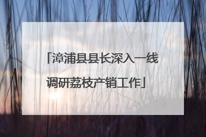漳浦县县长深入一线调研荔枝产销工作