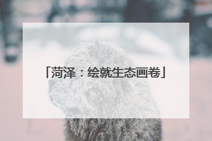 菏泽：绘就生态画卷