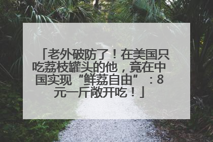 老外破防了！在美国只吃荔枝罐头的他，竟在中国实现“鲜荔自由”：8元一斤敞开吃！