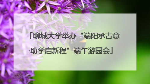 聊城大学举办“端阳承古意·助学启新程”端午游园会