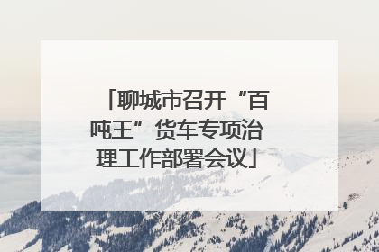 聊城市召开“百吨王”货车专项治理工作部署会议