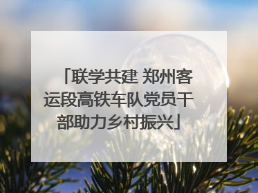 联学共建 郑州客运段高铁车队党员干部助力乡村振兴