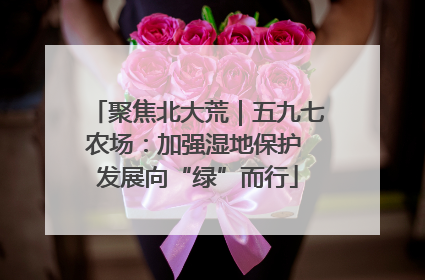 聚焦北大荒｜五九七农场：加强湿地保护 发展向“绿”而行