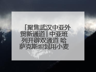 聚焦武汉中亚外贸新通道│中亚班列开辟双通道 哈萨克斯坦饲用小麦将抵鄂