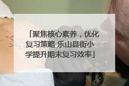 聚焦核心素养，优化复习策略 乐山县街小学提升期末复习效率