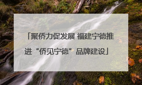 聚侨力促发展 福建宁德推进“侨见宁德”品牌建设